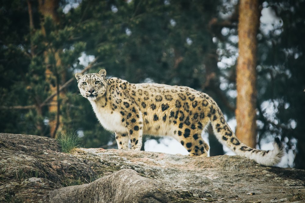 melbourne zoo