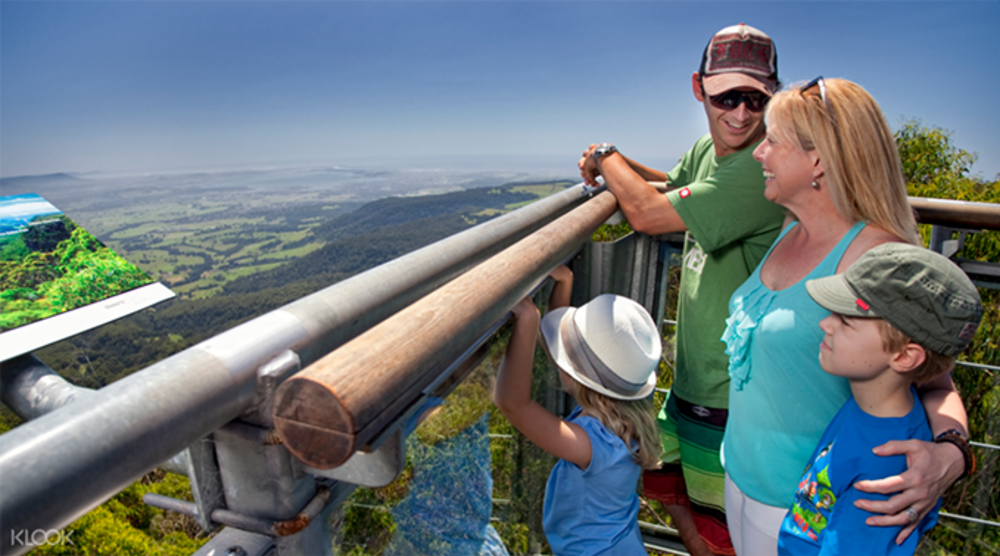 Illawarra Fly