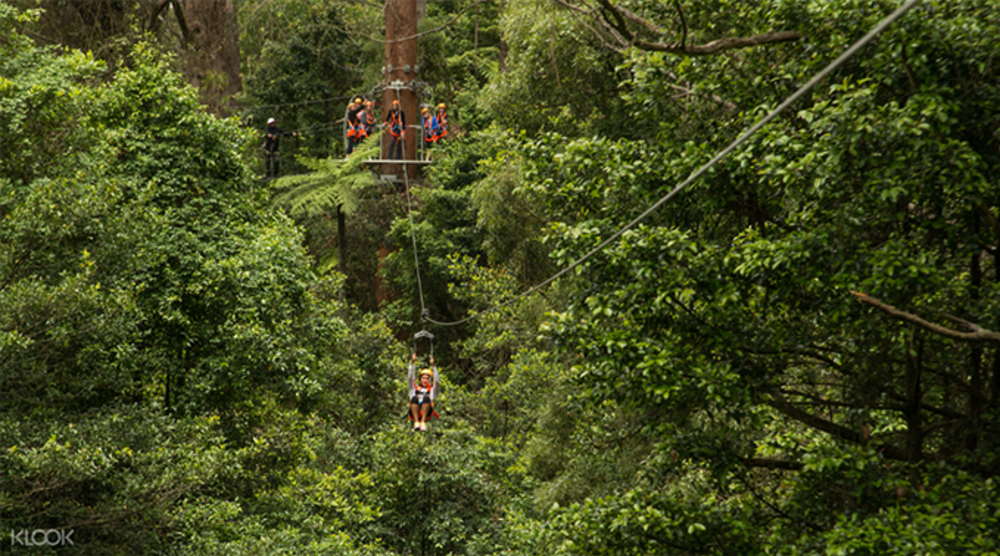 Illawarra Fly Zipline