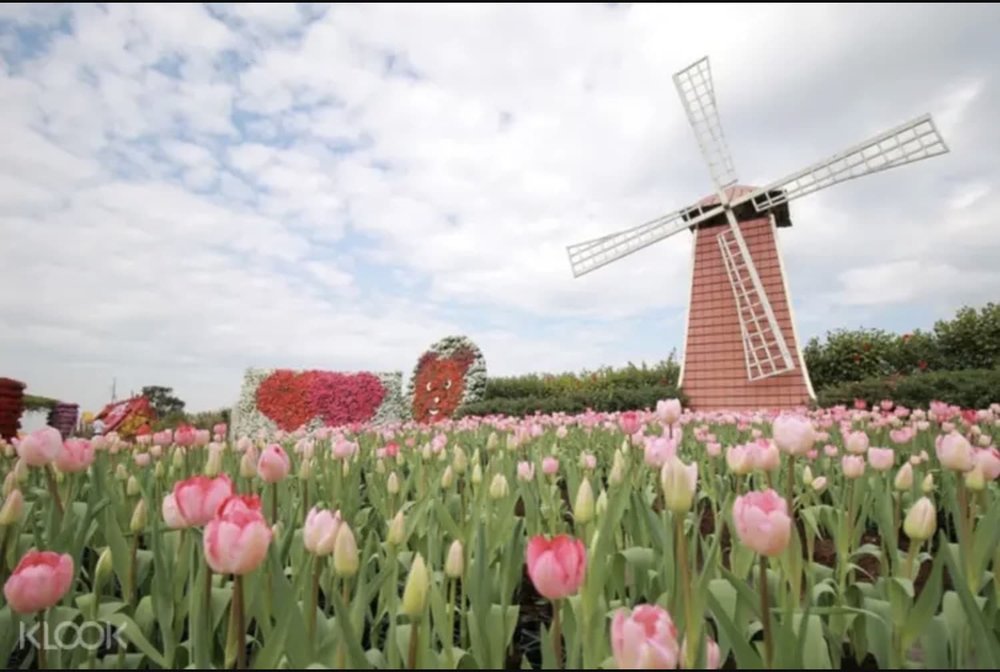 Zhongshe Flower Fields Taiwan 