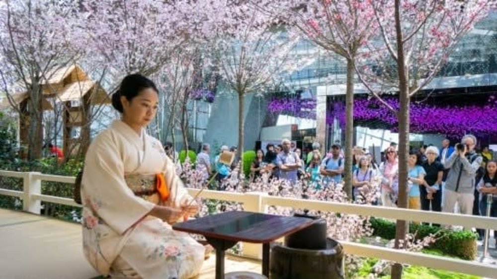 sakura cultural experience