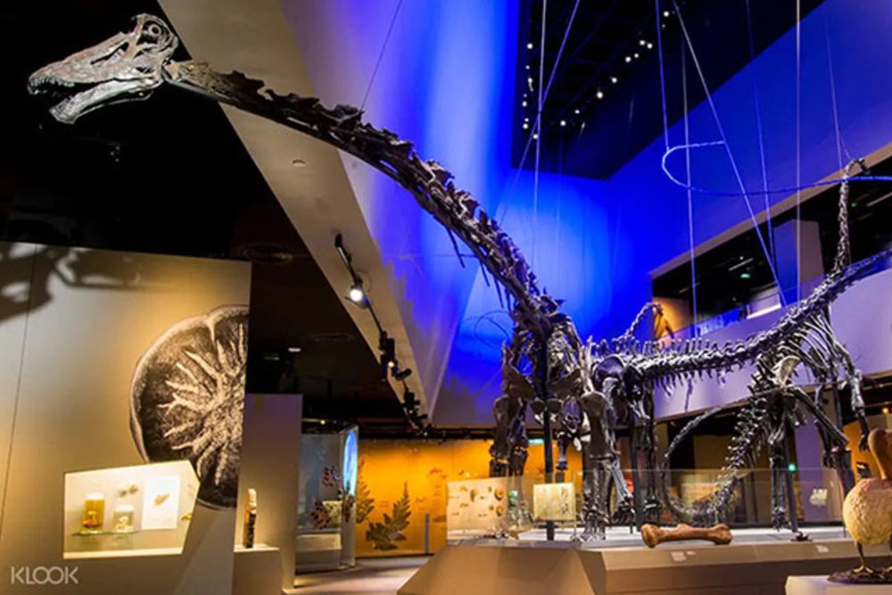 Lee Kong Chian Natural History Museum