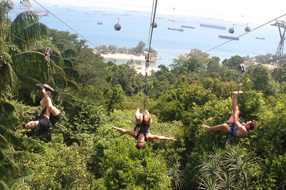 Mega Zip Adventure