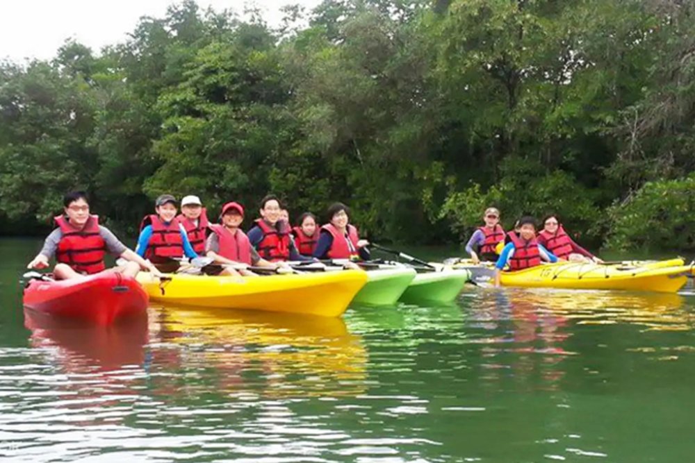 Ubin Nature Kayak
