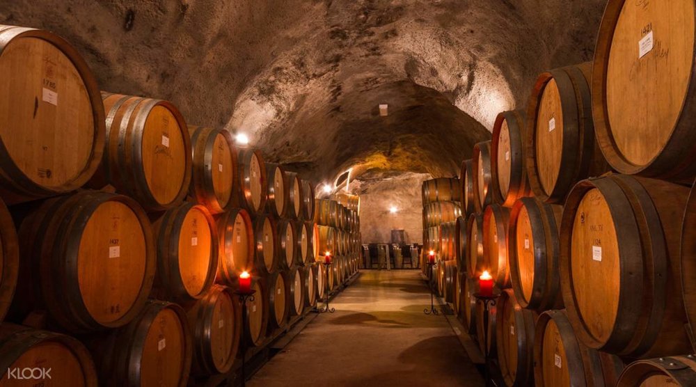 Gibbston Valley Wine Tasting Tour 