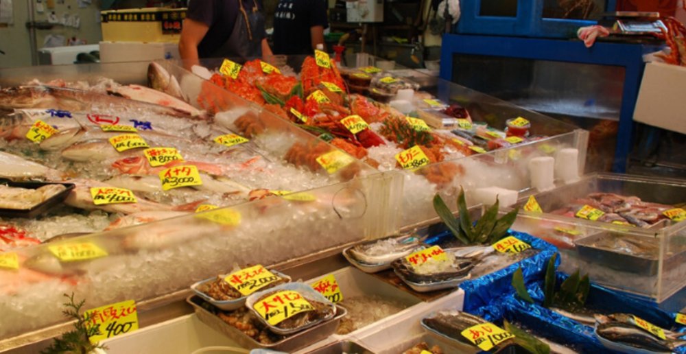 tsujiki sushi workshop fish market learn how to sushi tokyo marathon