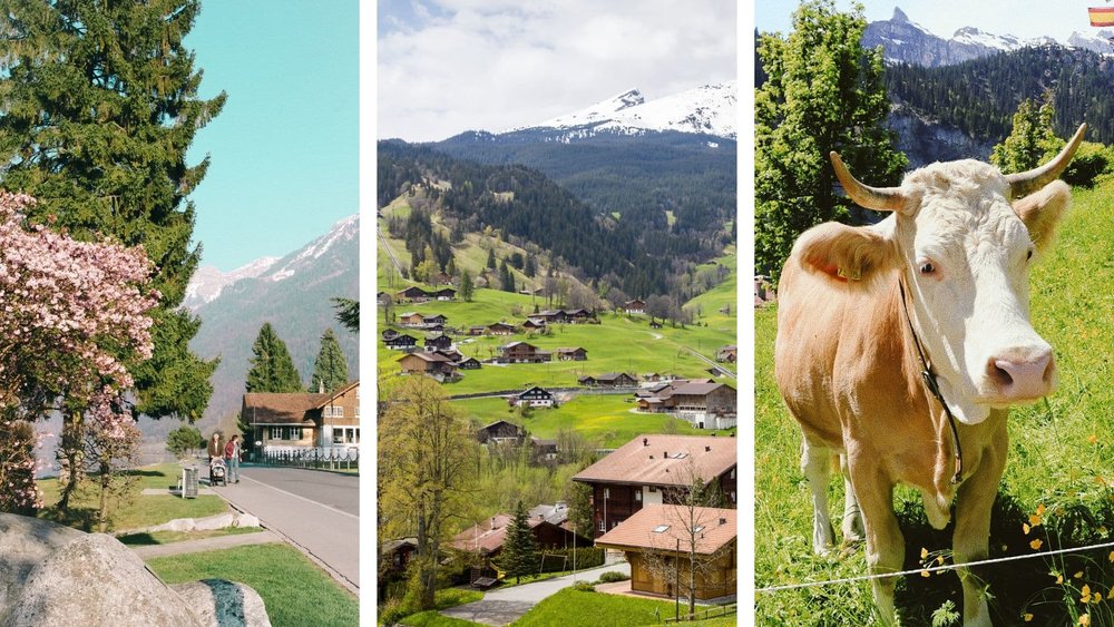 Interlaken day tour in Switzerland 