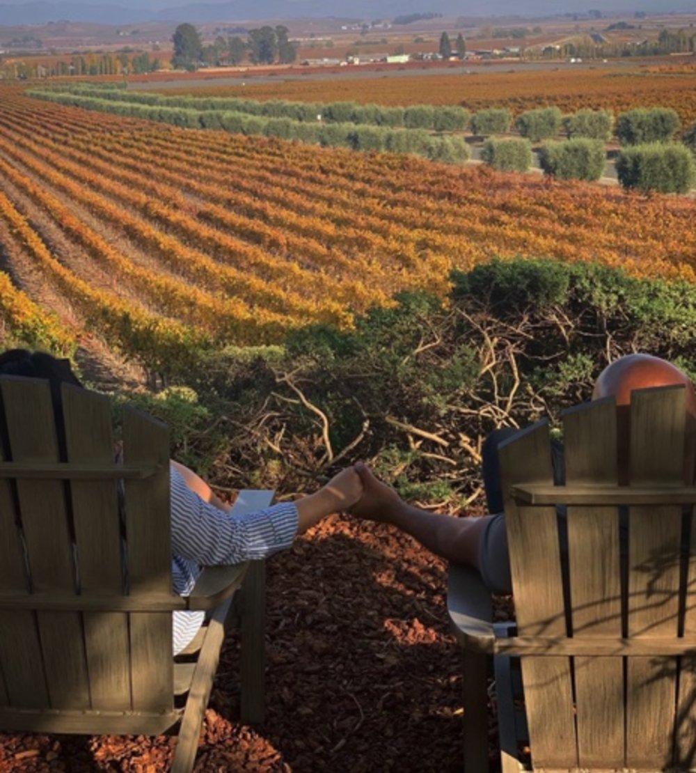 napa valley madonna estate winery