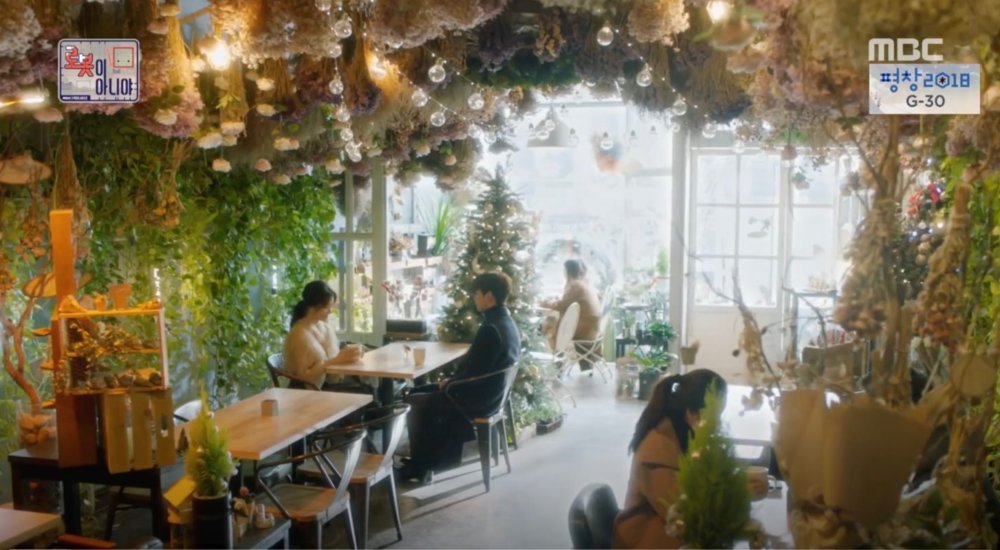 kdrama cafe