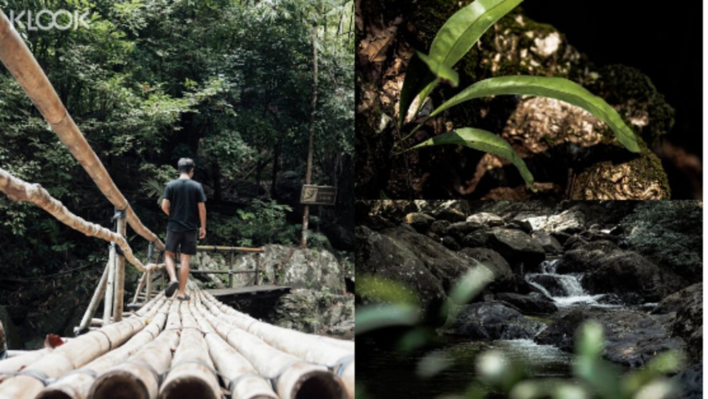 เที่ยวน้ำตก ป่าละอู หัวหิน