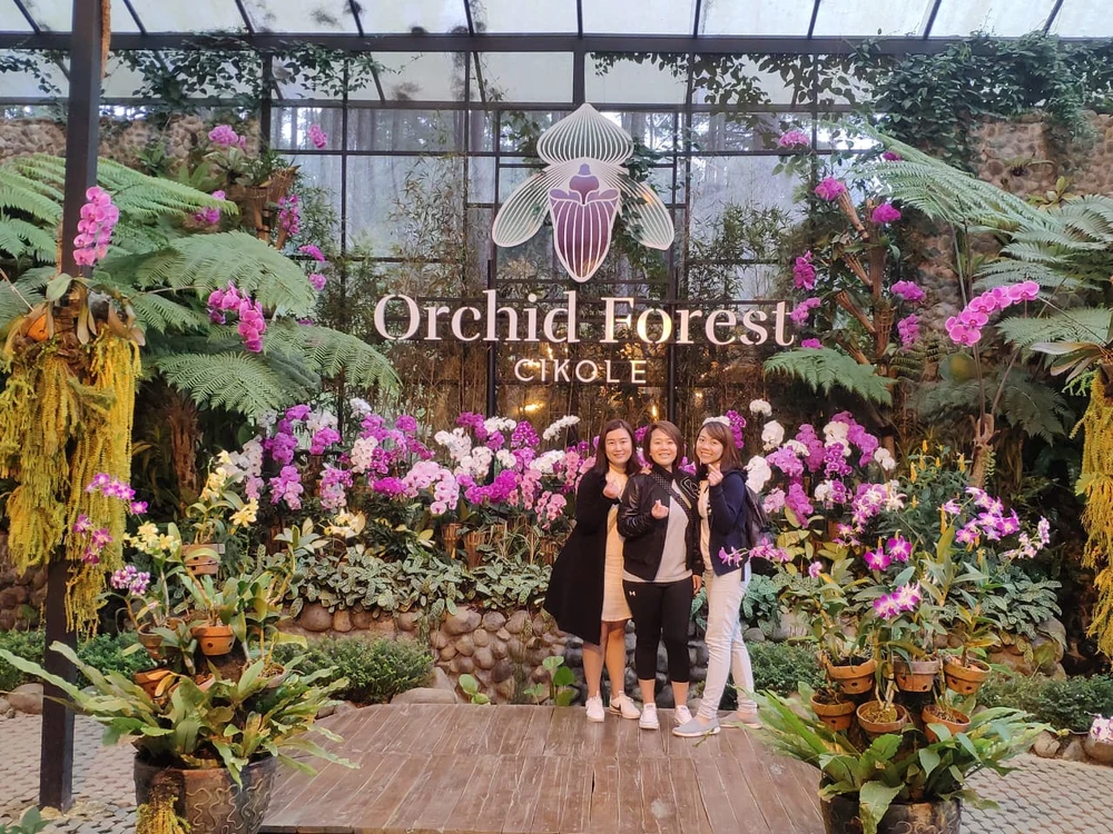 Orchid Forest Cikole