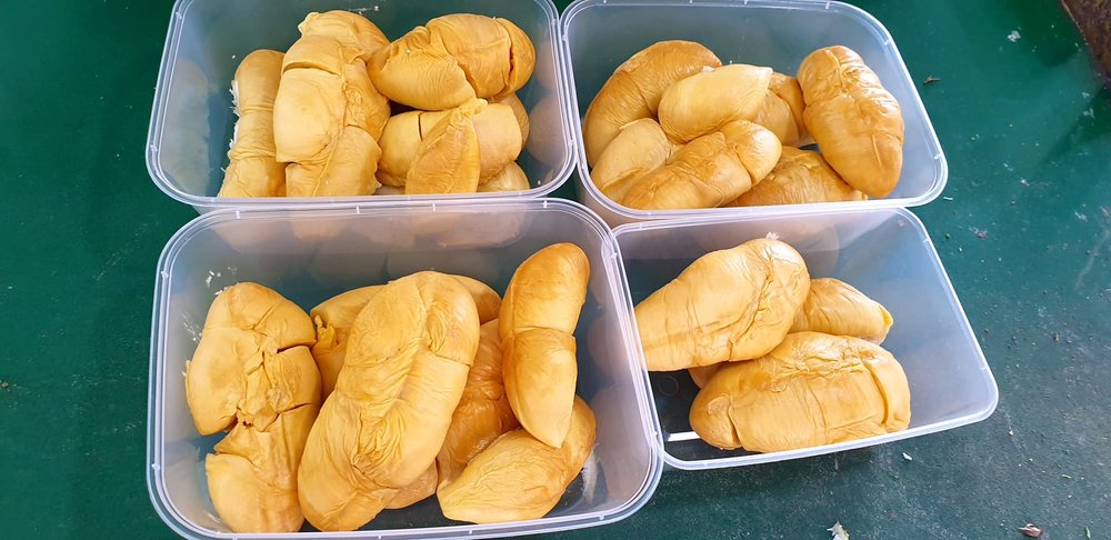 Durian KL Chen Brothers