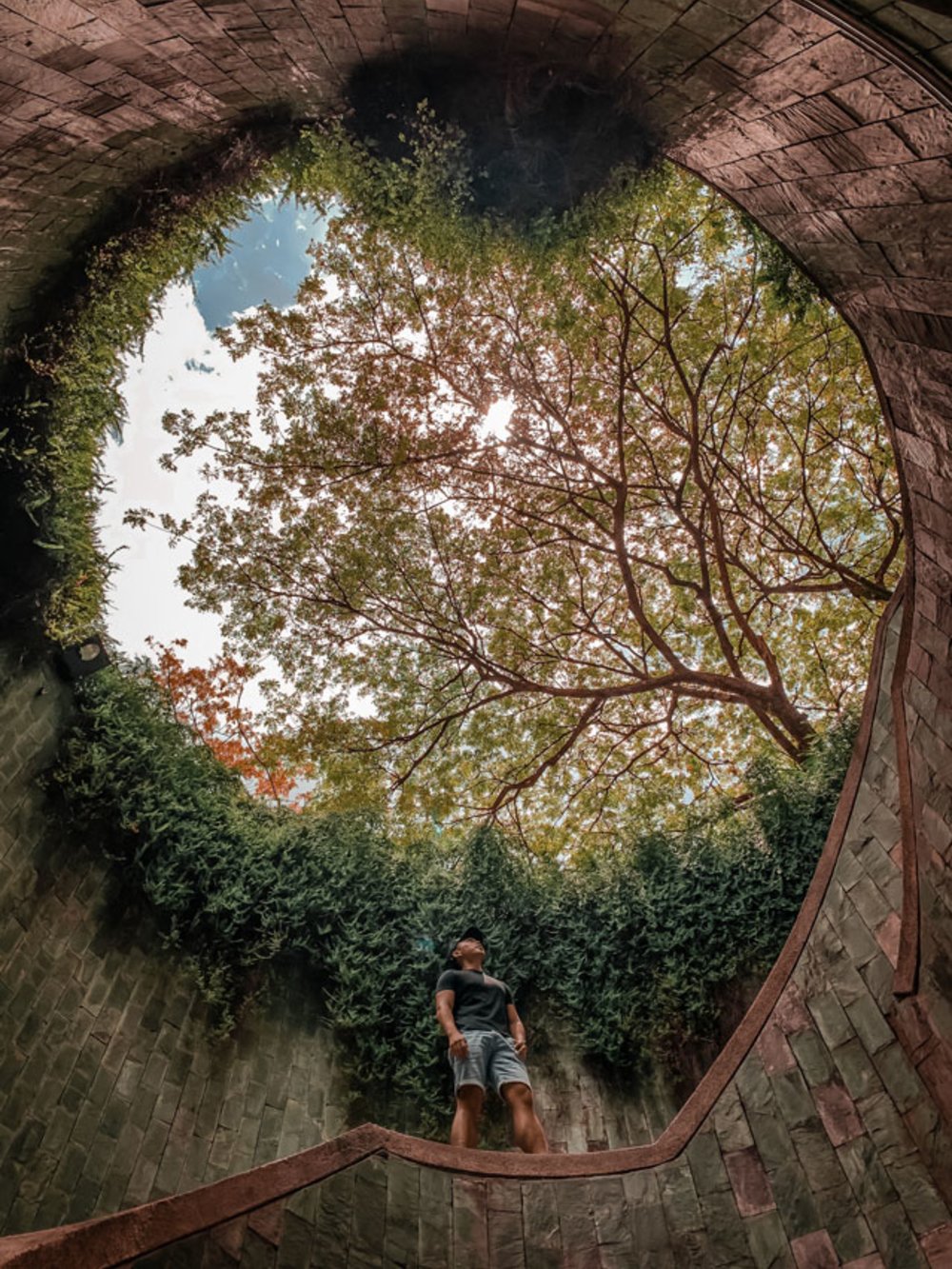 singapore nature park fort canning park