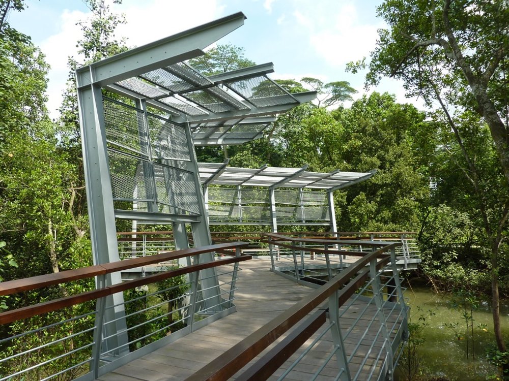 labrador nature reserve berlayer creek running singapore