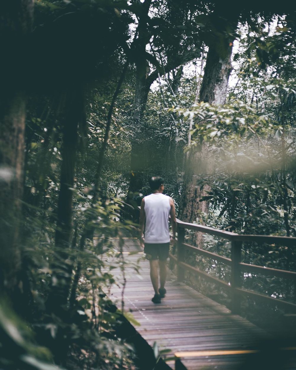 running in singapore lower pierce reservoir