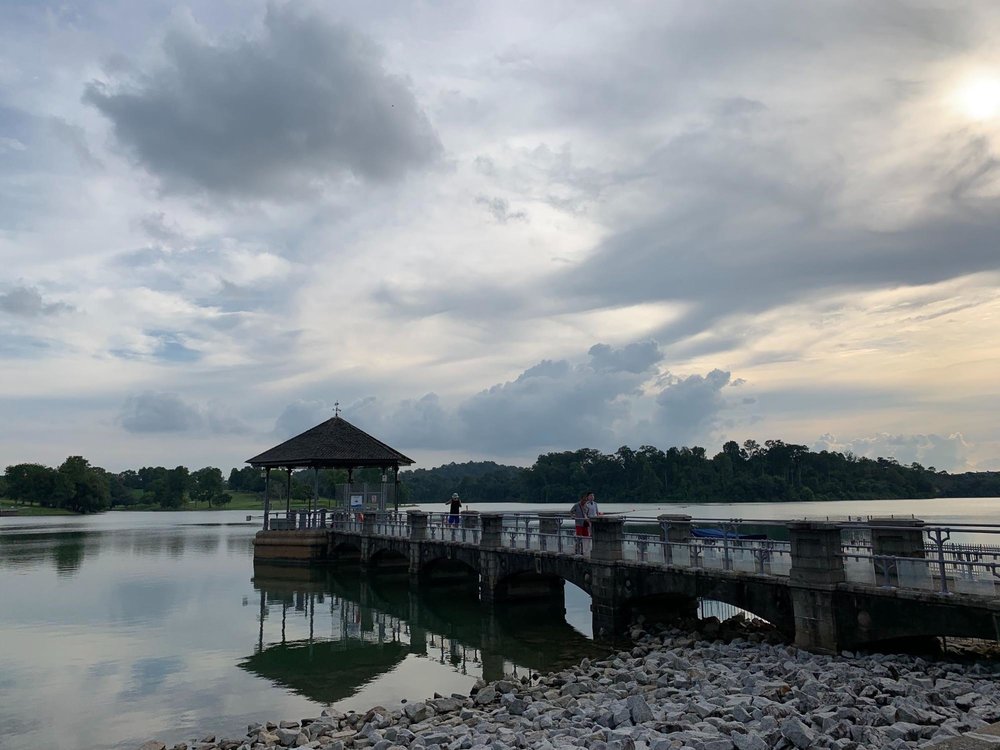 running in singapore lower pierce reservoir bridge