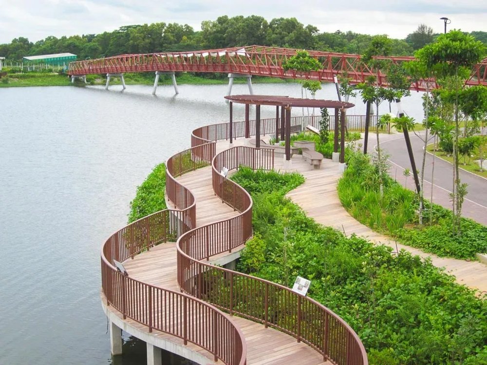 running in singapore punggol waterway park bridge