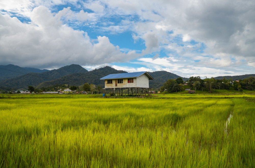 Kelabit Highlands view