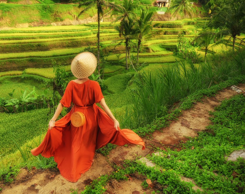 Tegalalang Rice Terrace Ubud Bali Tourist