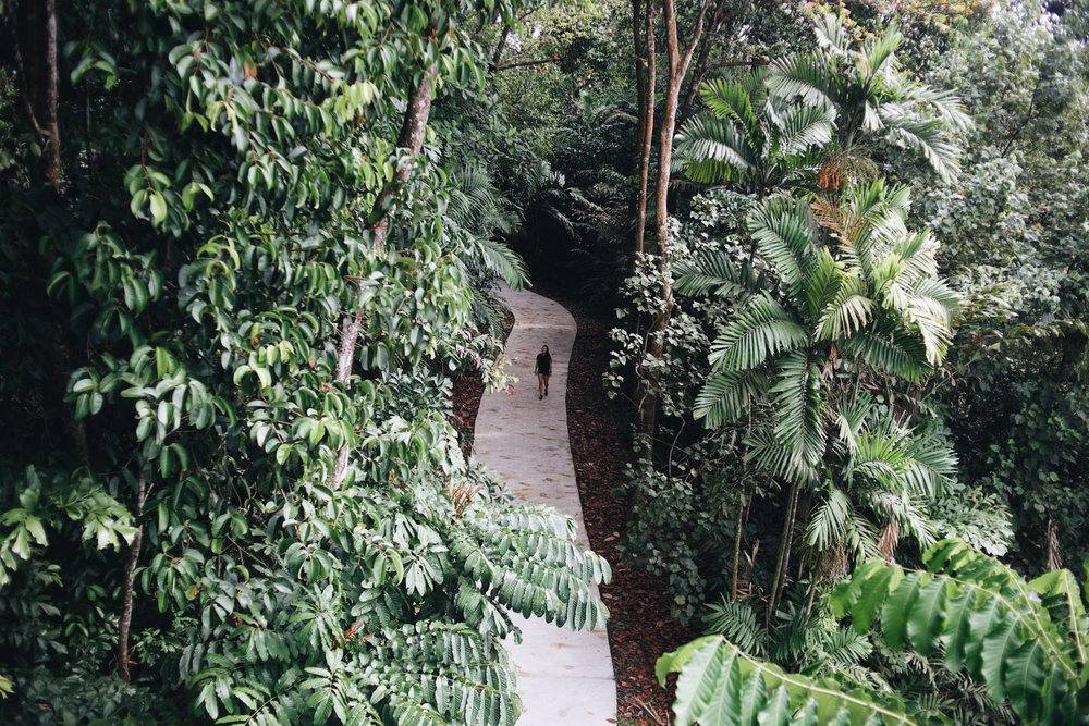 sungei buloh wetland nature reserve hike