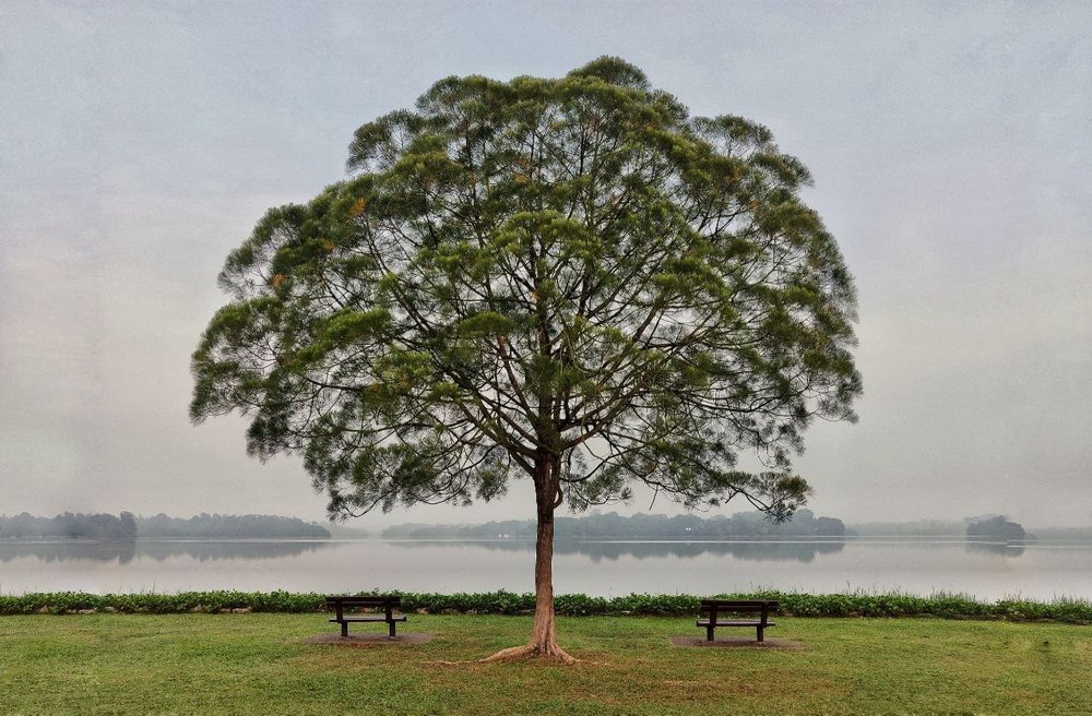 upper seletar reservoir hike