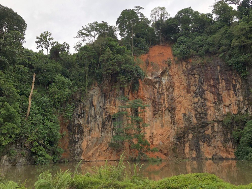 bukit batok nature park