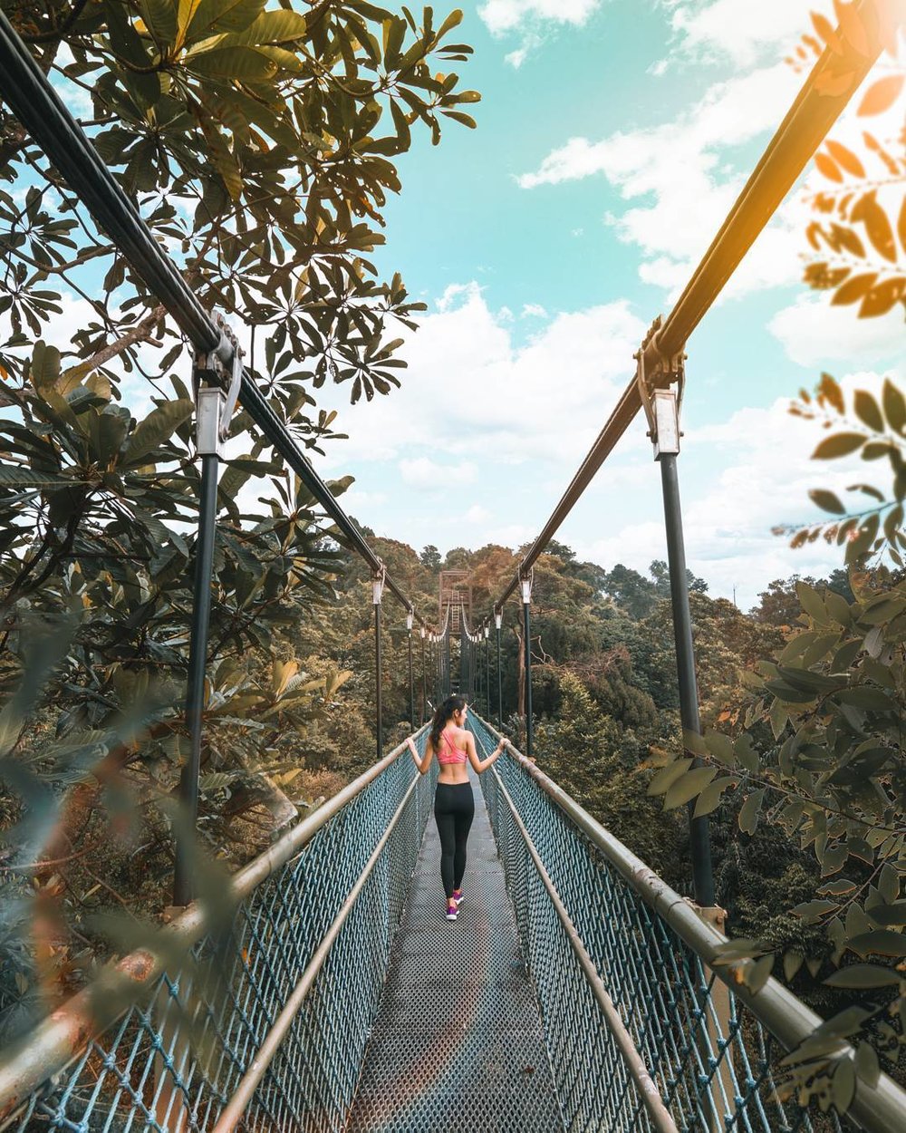 macritchie treetop walk 