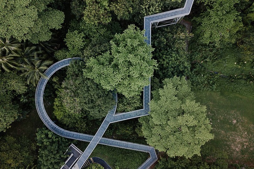 singapore southern ridges hike