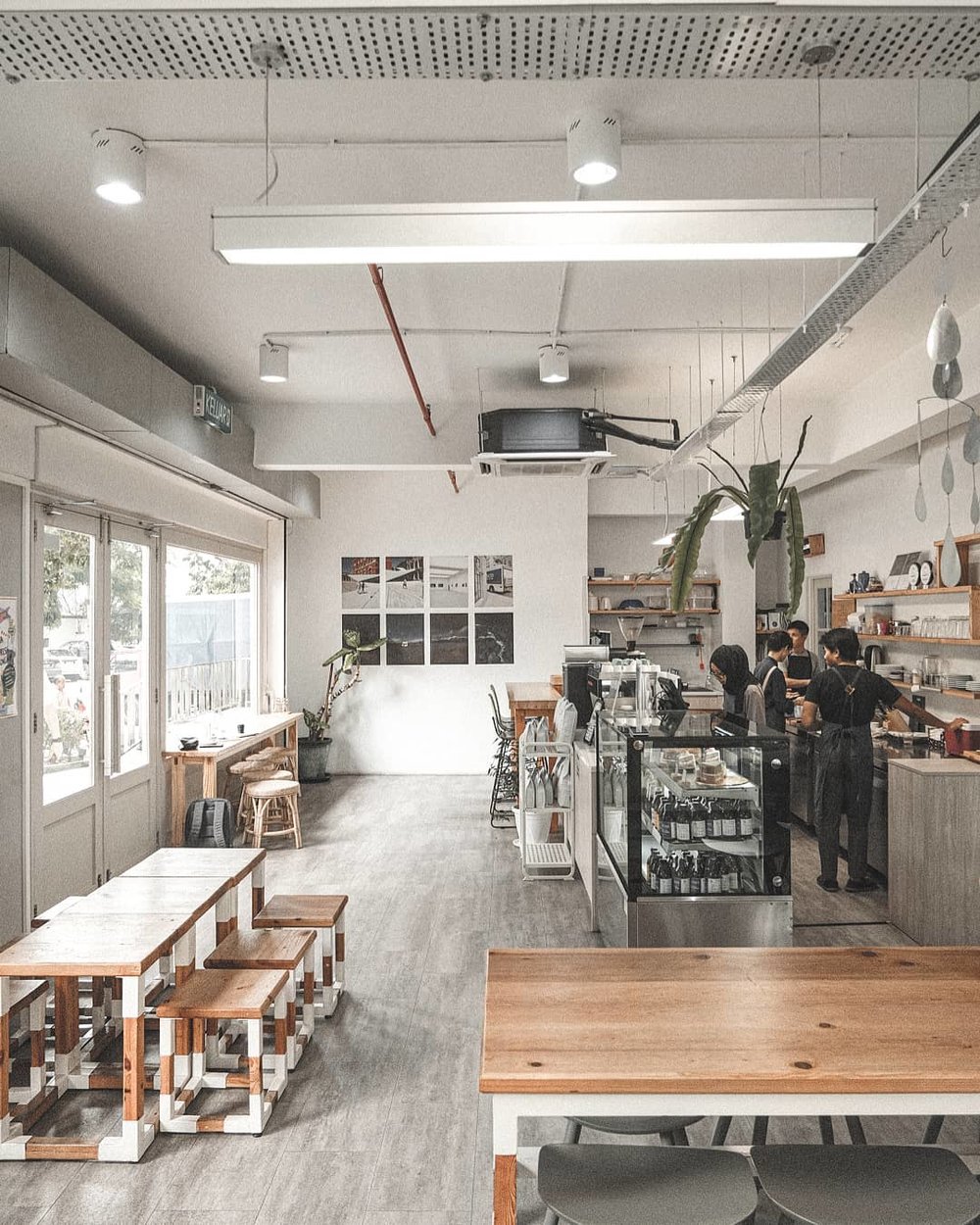 The Roast Things | Cream