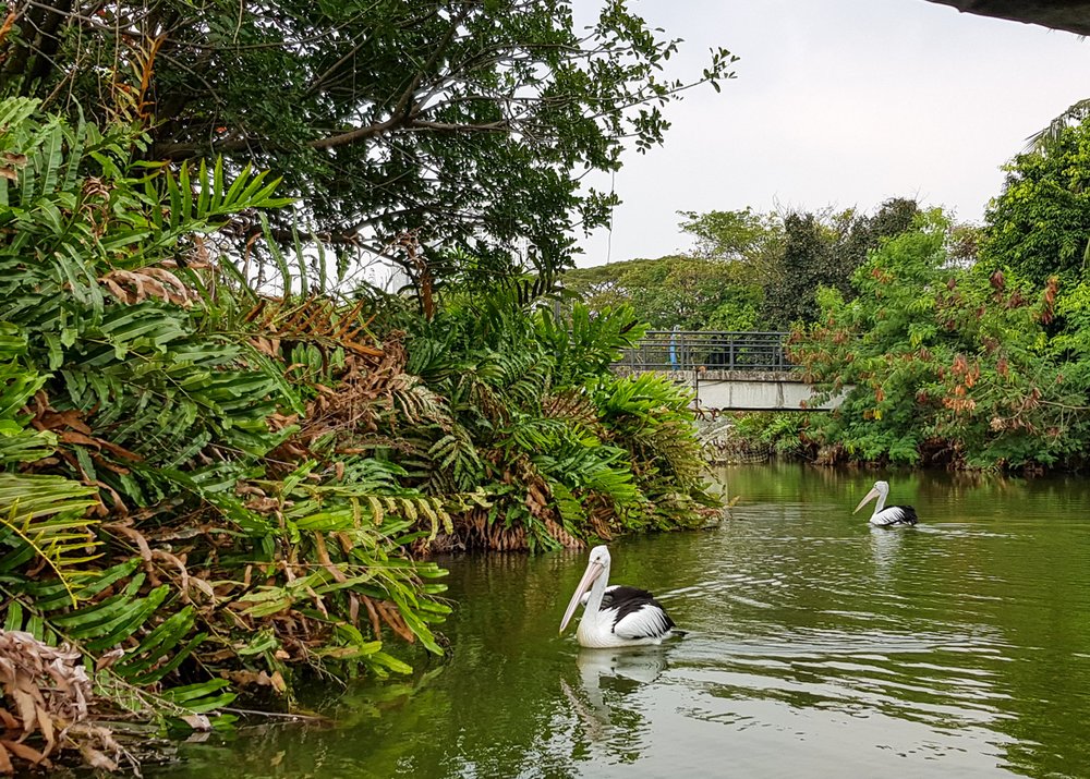 Faunaland Allianz Ecopark