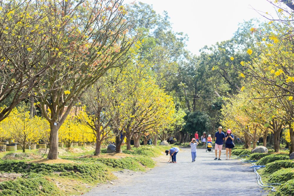 Du Lịch Vũng Tàu Mùa Nào Đẹp Nhất?