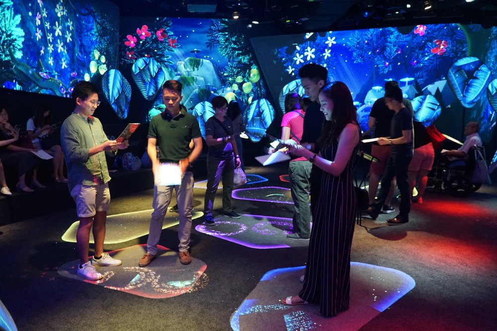 SG Changi Experience