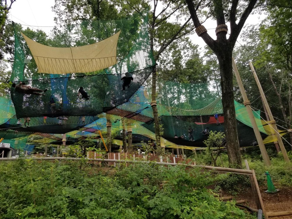 空中アスレチック