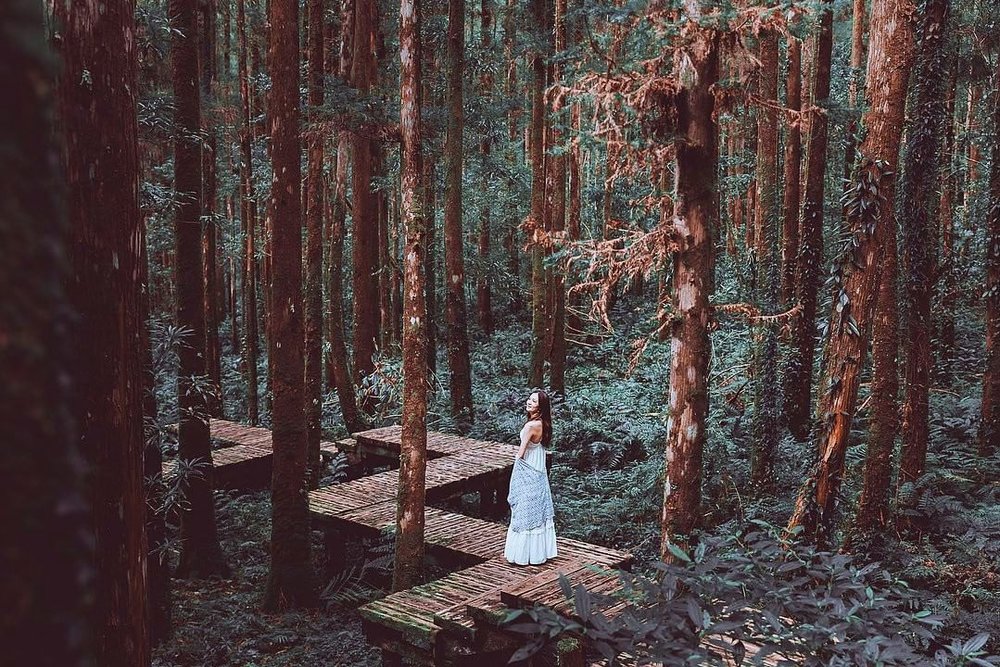 明池國家森林遊樂區1