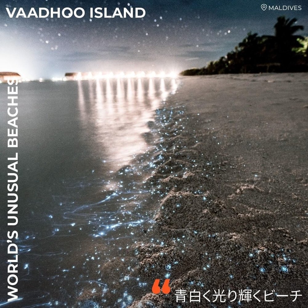 バードゥ島（モルディブ）