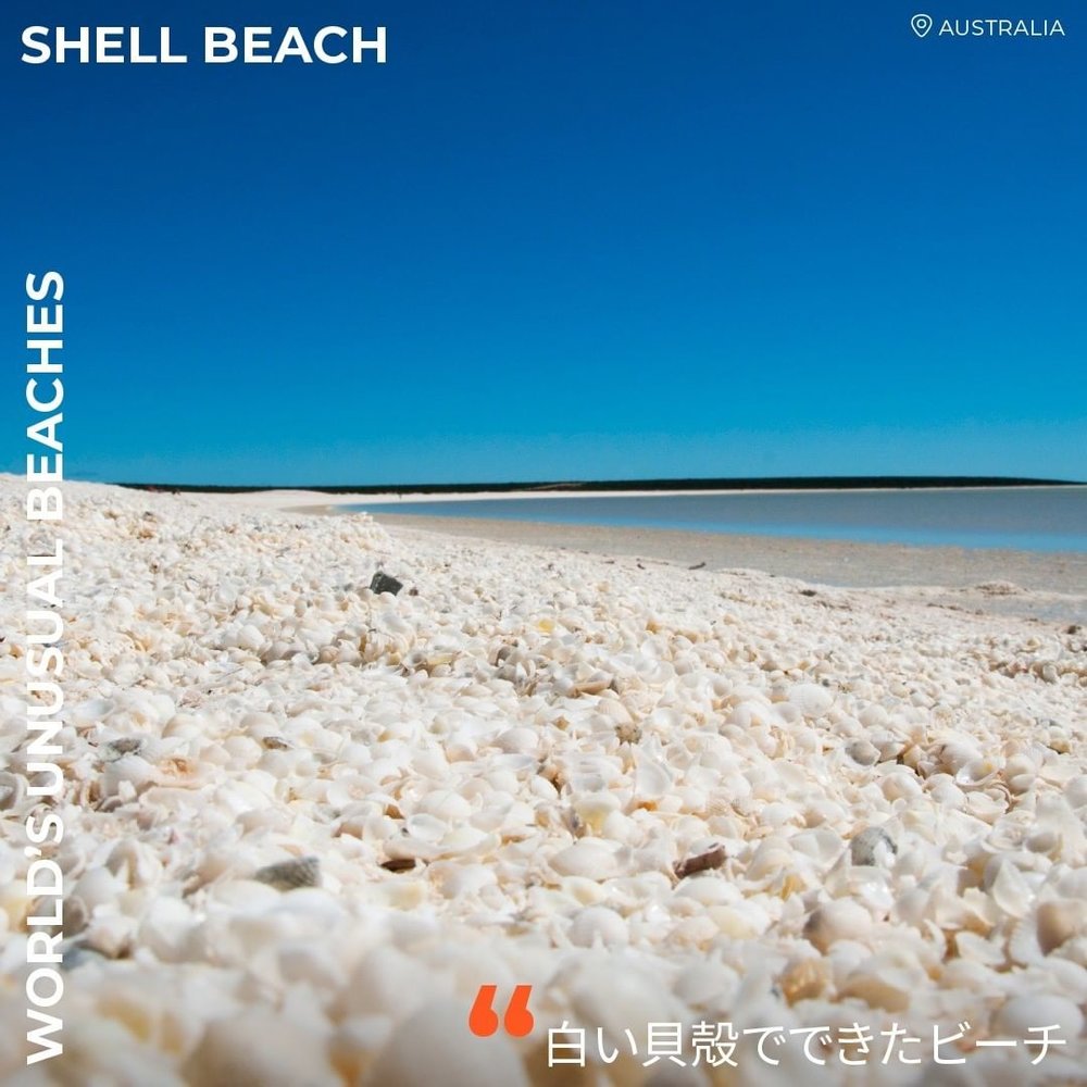 シェルビーチ（オーストラリア）