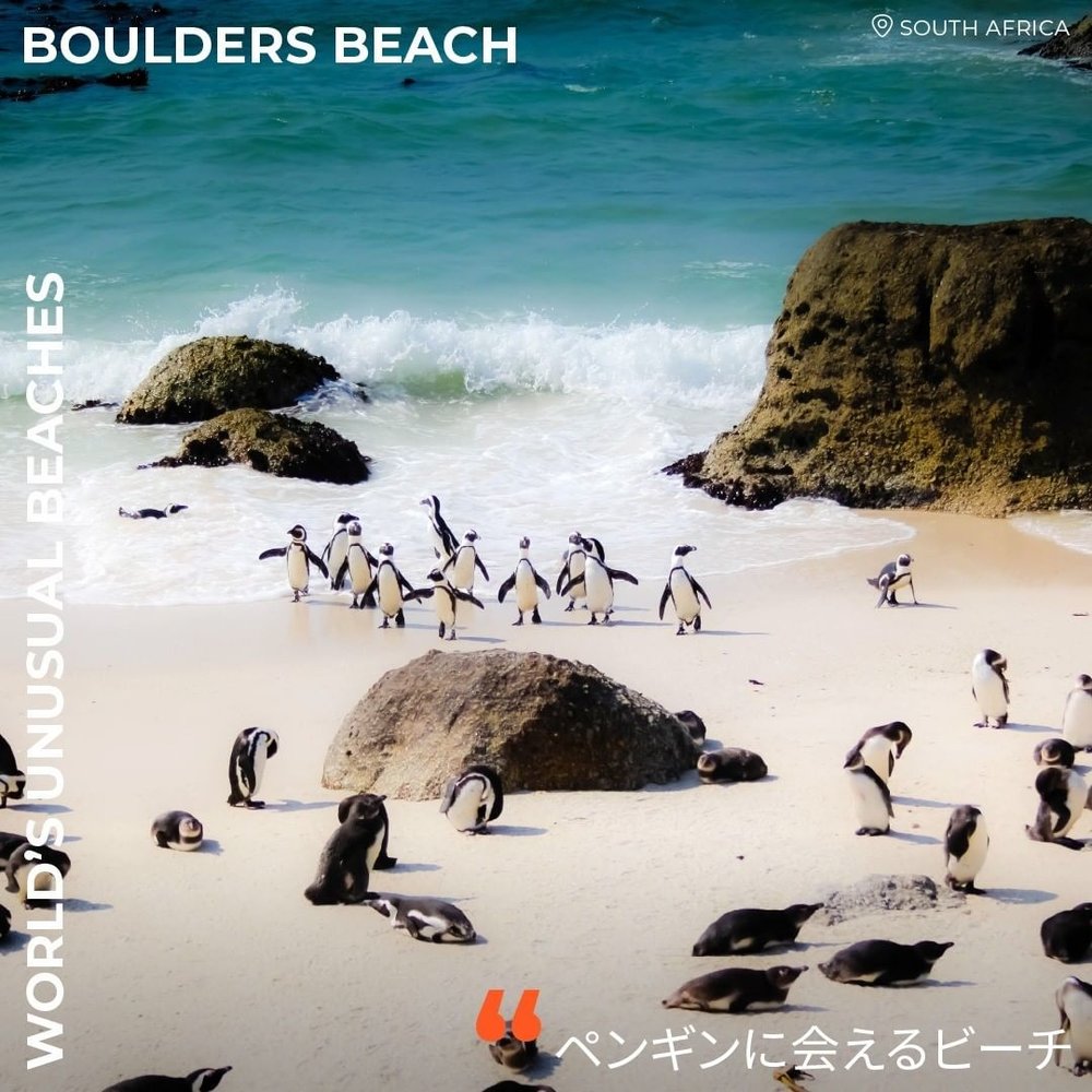 ボルダーズビーチ 