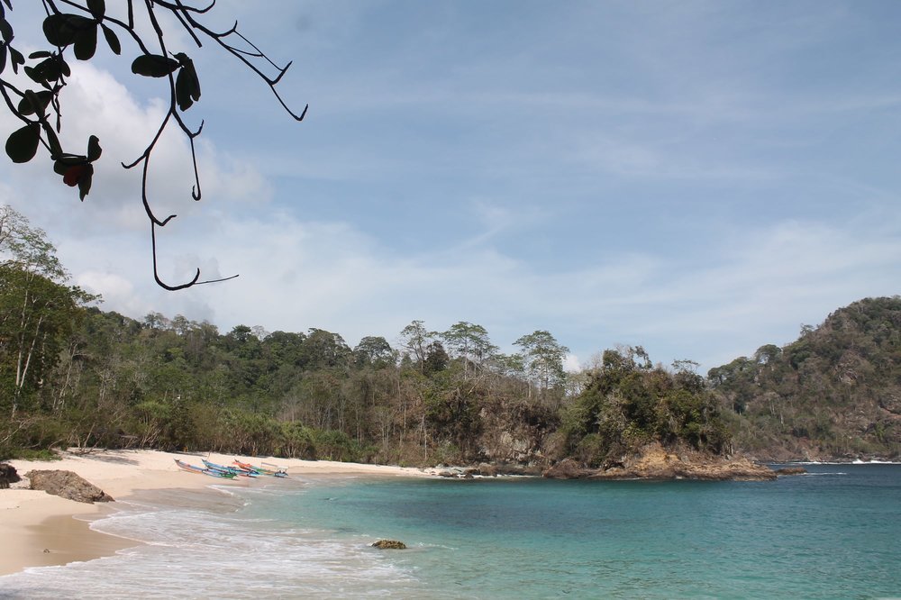 Green Bay atau Teluk Hijau Banyuwangi