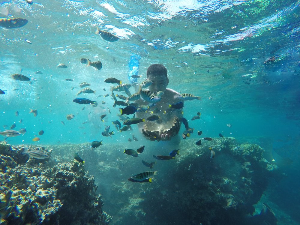 Paket Tour Tabuhan & Menjangan Island dari Banyuwangi