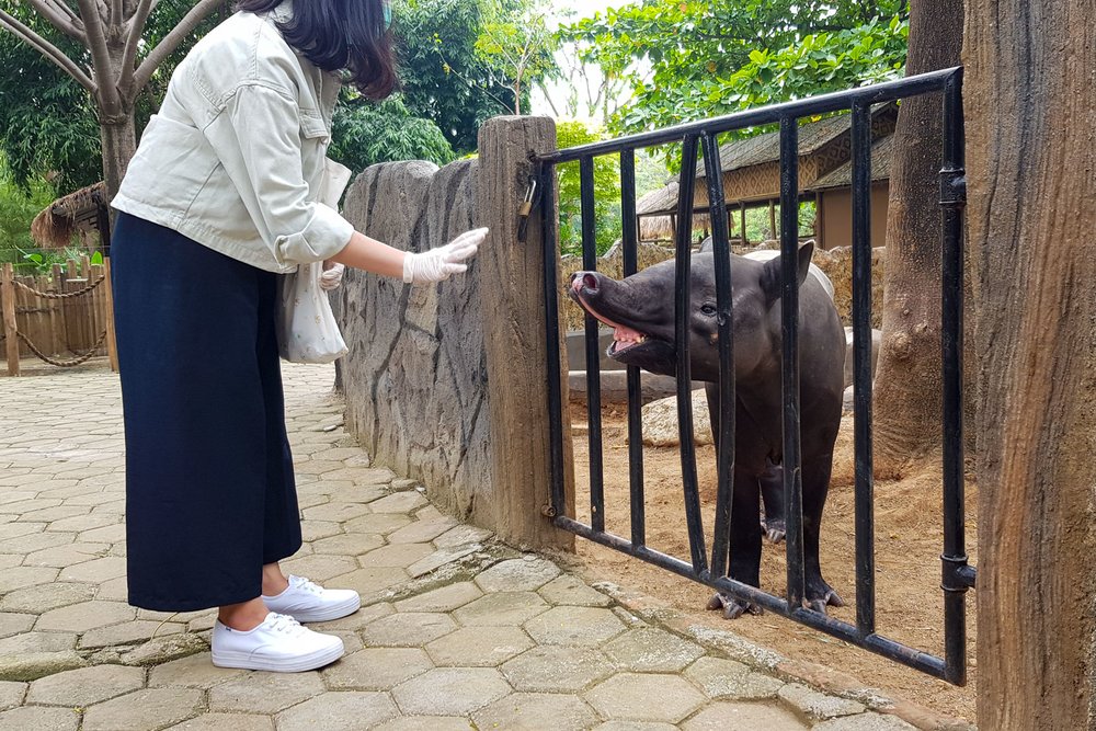 Protokol Kesehatan di Faunaland Ancol Jakarta