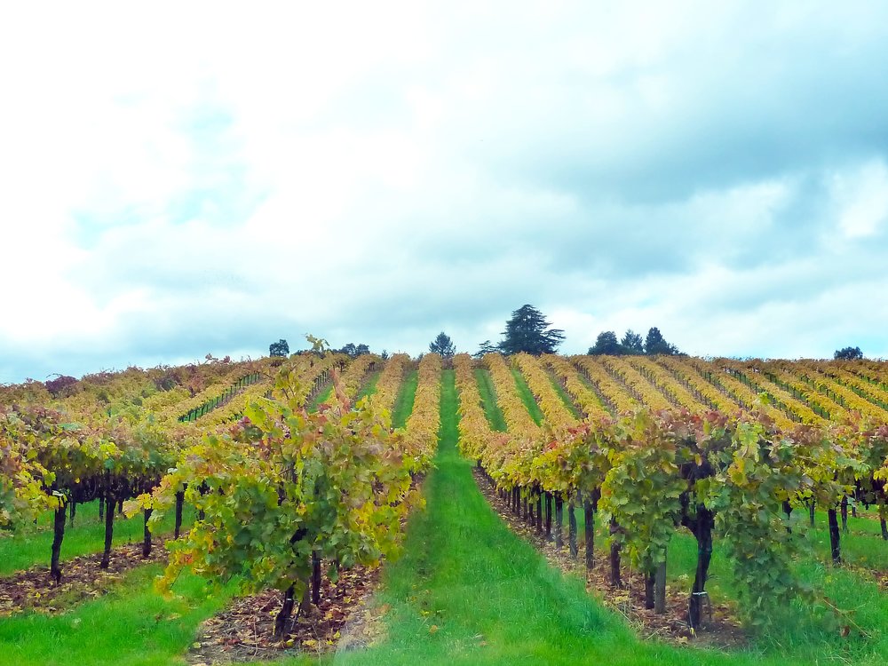 kinh-nghiem-du-lich-san-franciso