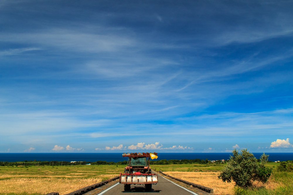台東景點 金剛大道