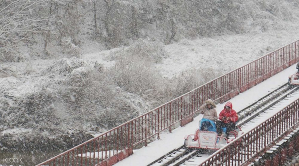 Chu Du Đảo Nami Trên Đường Ray Xe Đạp