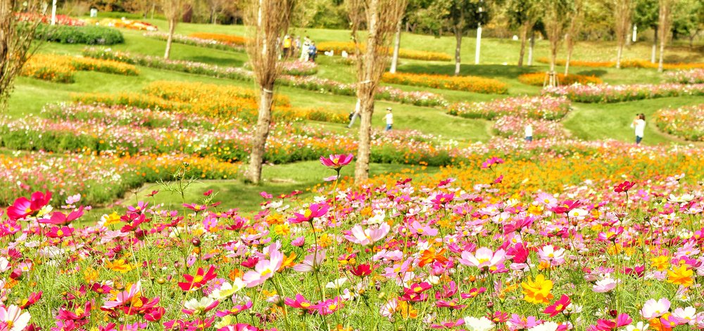 England Hill - Đồi Anh Quốc