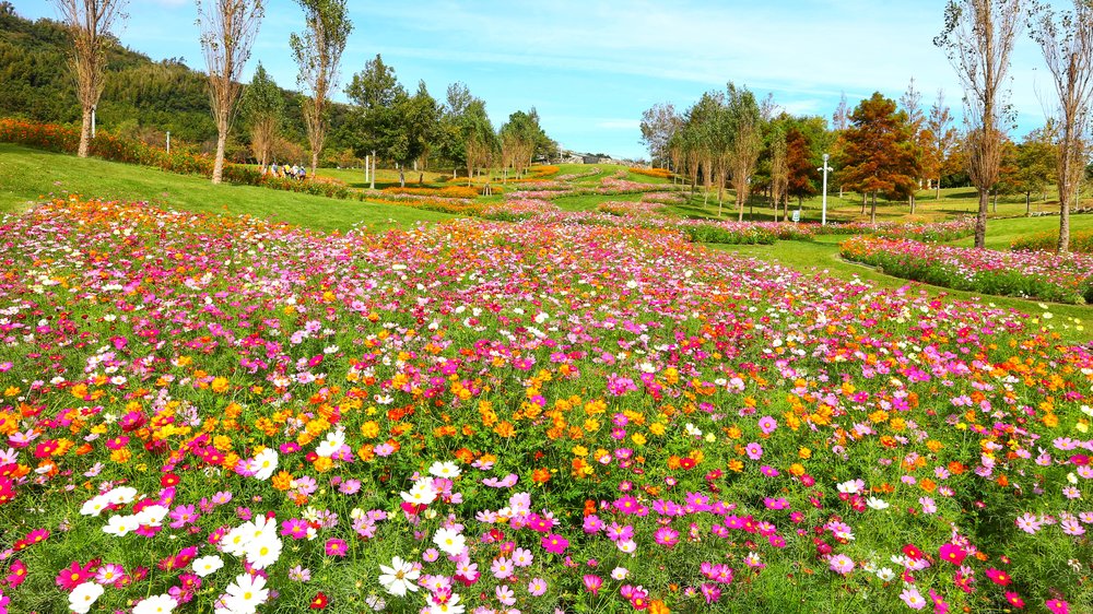 Đảo Awaji Ở Đâu Tại Nhật Bản?