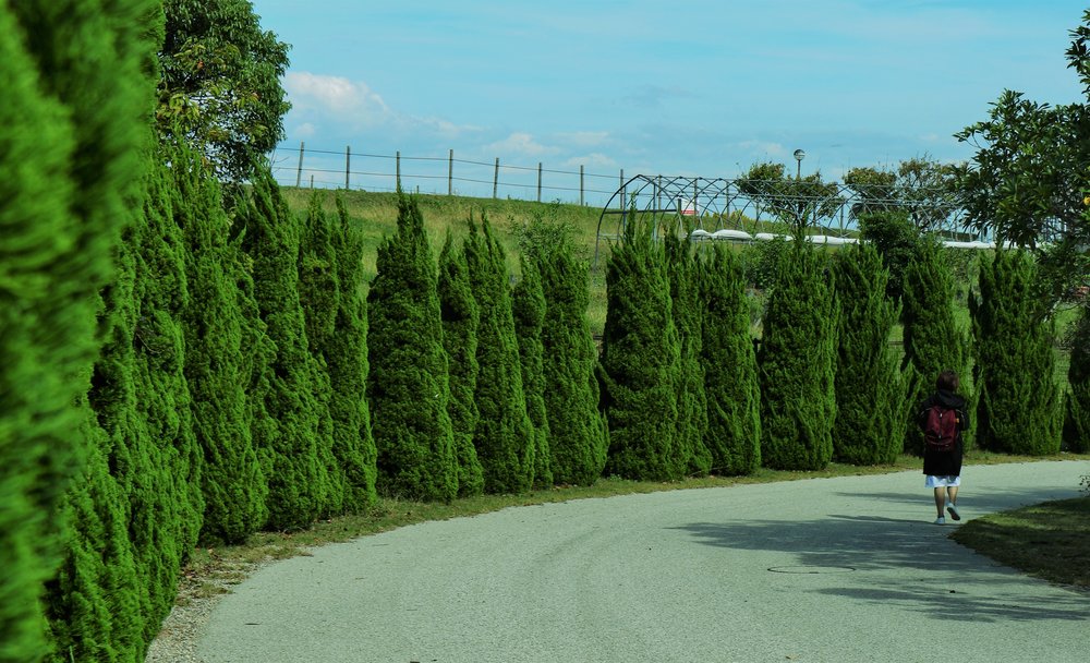 Hướng Dẫn Cách Đi Đến Awaji Island Từ Osaka