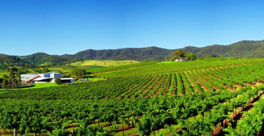 travel to hunter valley from sydney