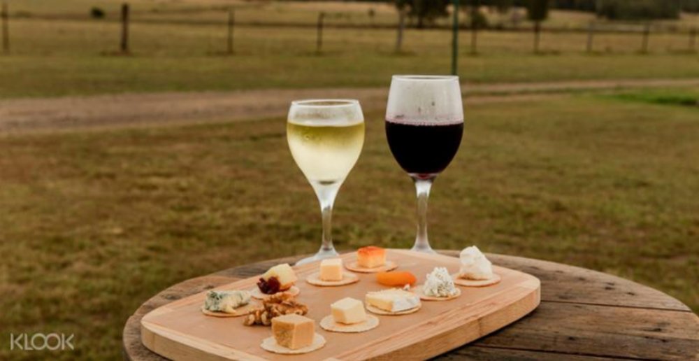 Wine tour hunter valley