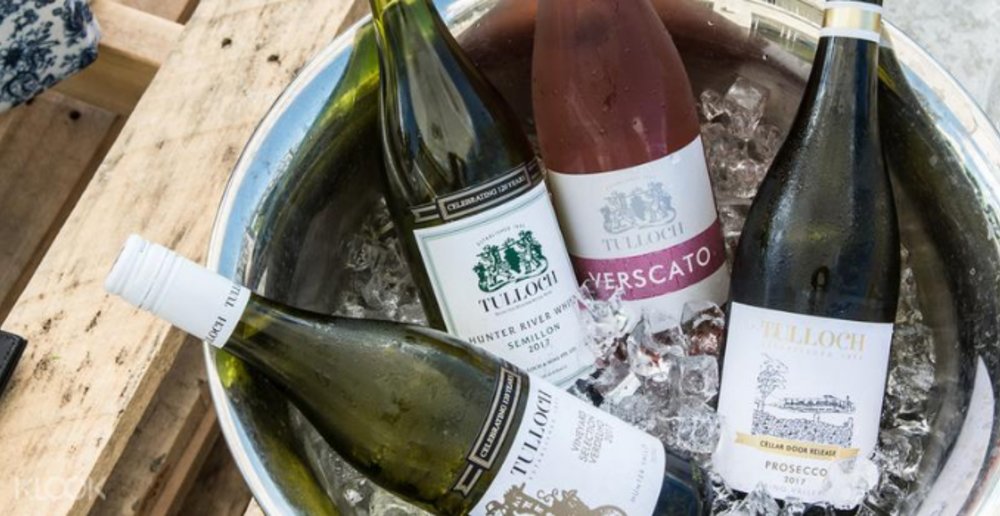 cheap wine tasting hunter valley