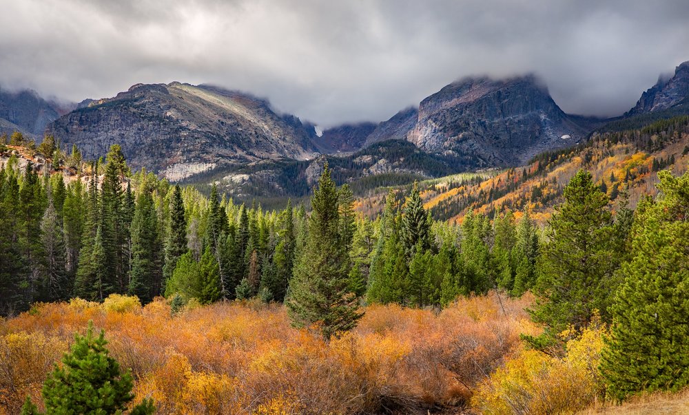 Fall foliage at Rocky Mountain National Park